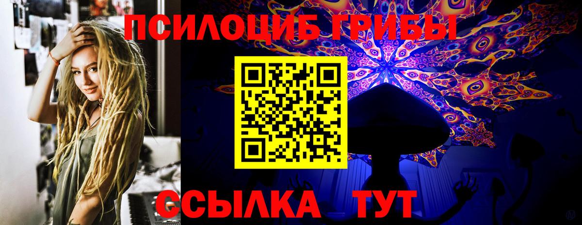 Псилоцибиновые грибы мицелий Рубцовск